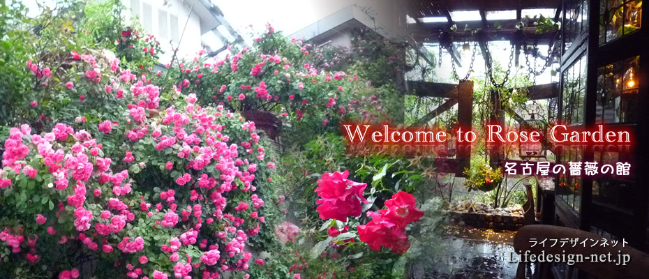 ライフデザインネット 濱田技術士事務所 愛知県名古屋市 有機土壌による有機菜園プランナー