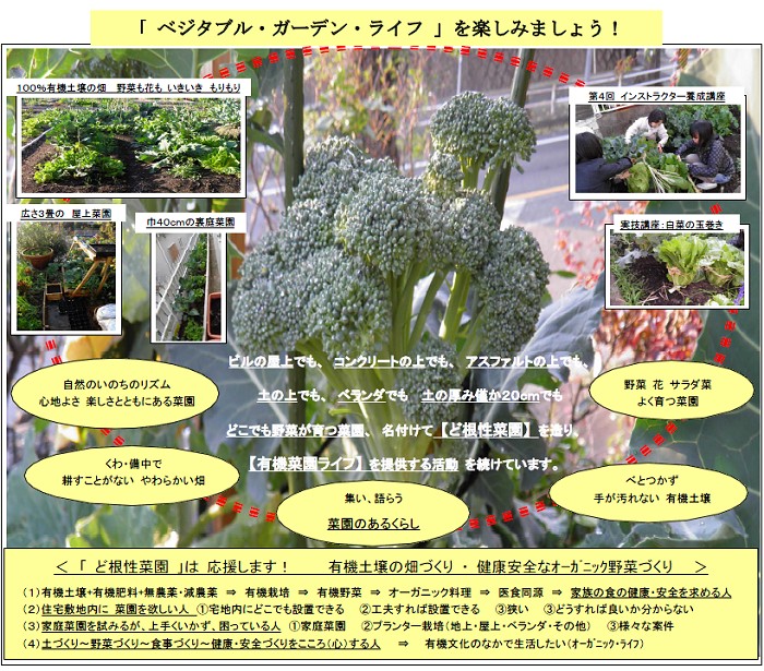 オーガニックガーデン説明会